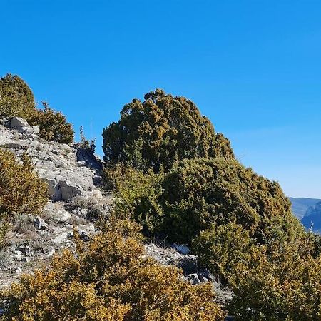 Appartement Rez-De-Jardin Jas Des Baronnies Curnier Εξωτερικό φωτογραφία
